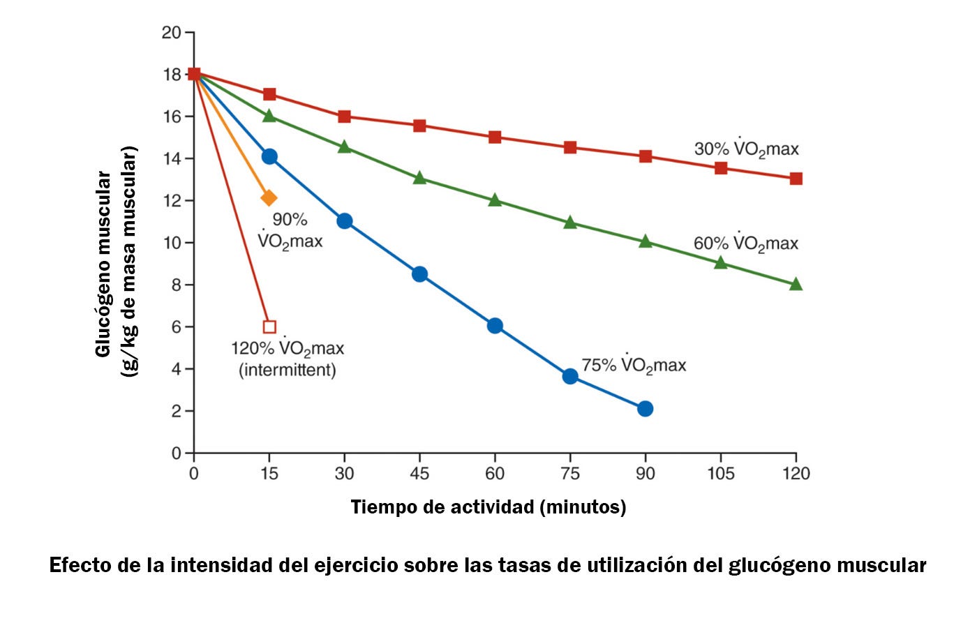 Agotamiento de glucógeno