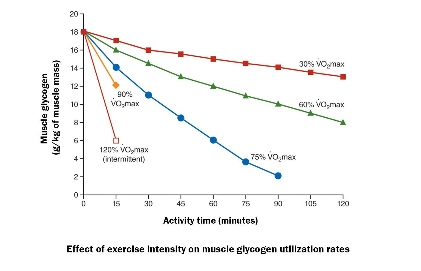 Glycogen depletion rates