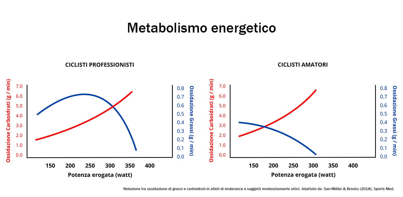 Metabolismo energetico ciclisti