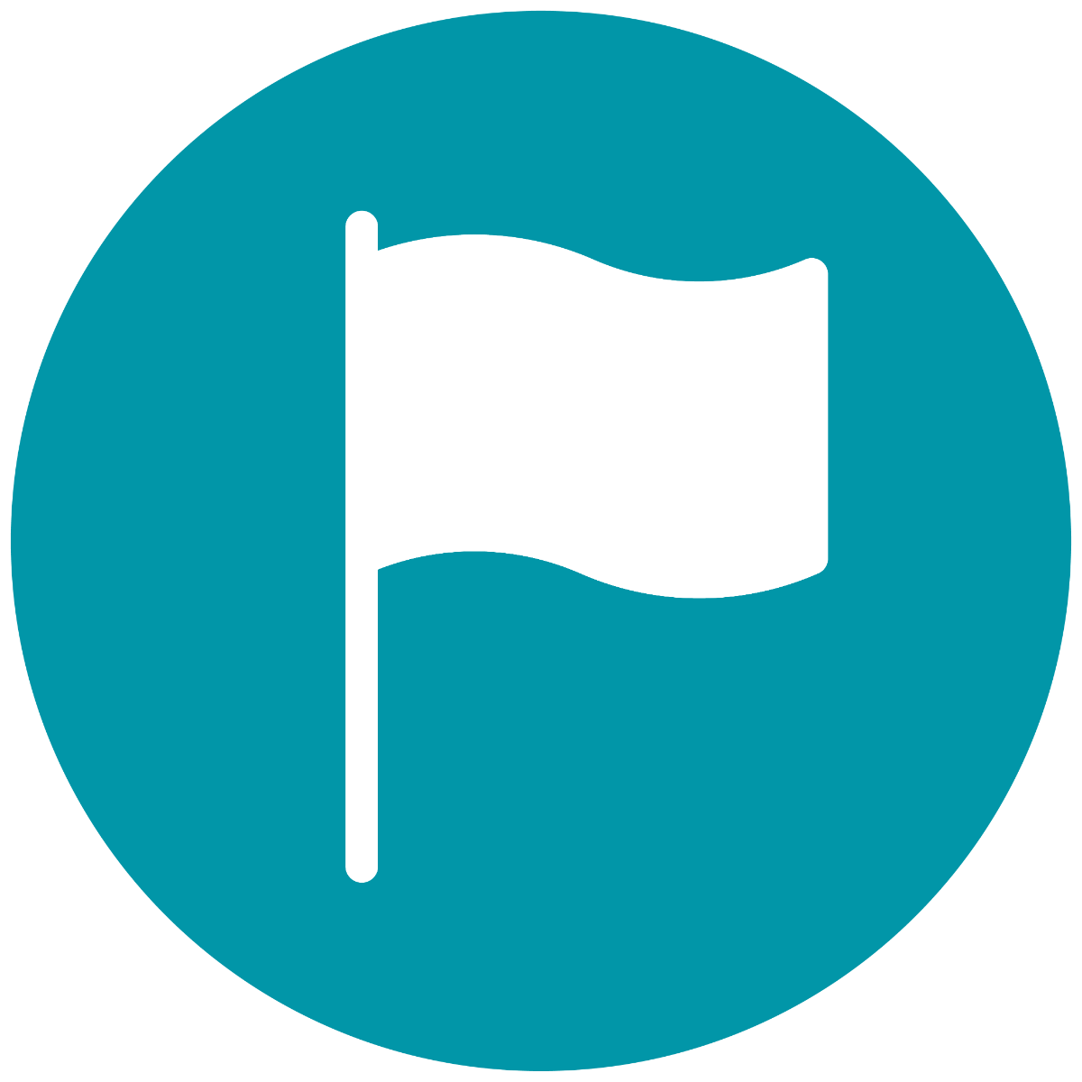 pure_pro_icona_flag