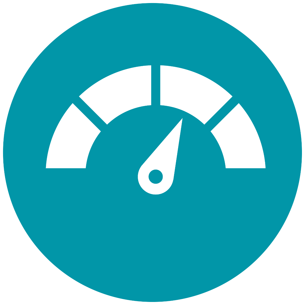 pure_pro_icona_meter